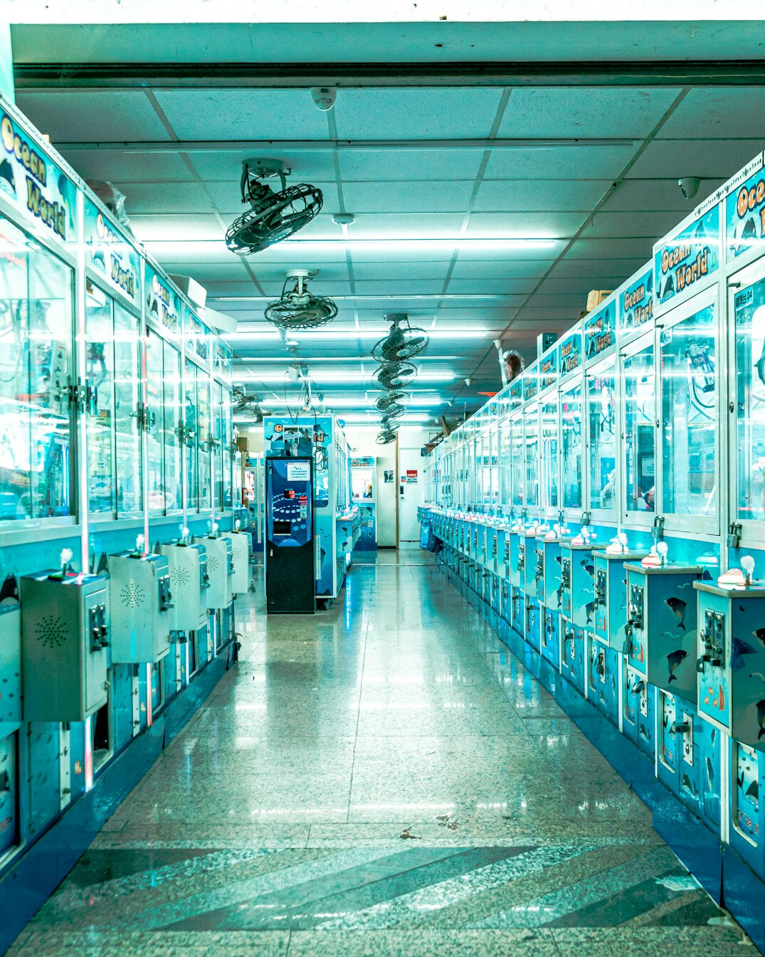 Rows of servers in a data center
